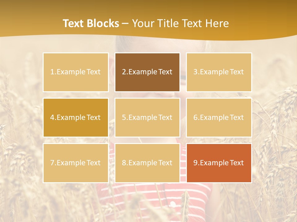 Wheat Spring Landscape PowerPoint Template