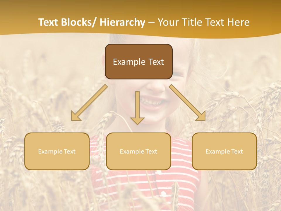 Wheat Spring Landscape PowerPoint Template