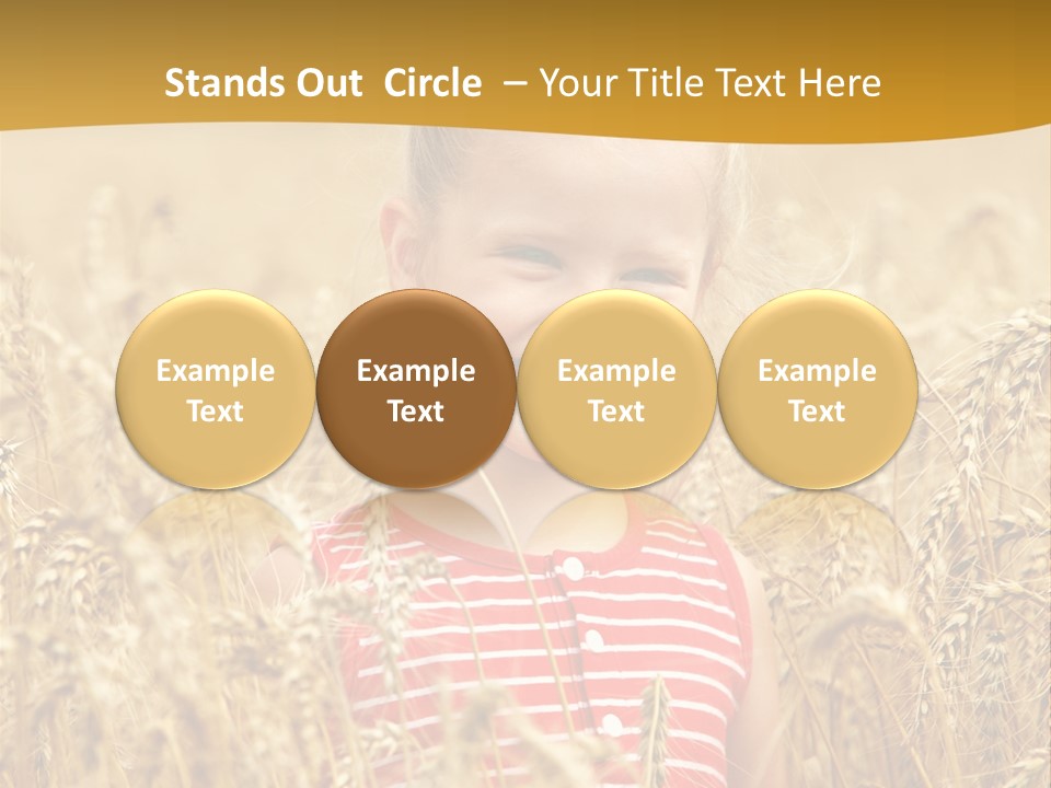 Wheat Spring Landscape PowerPoint Template