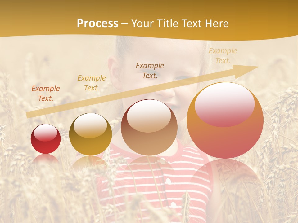 Wheat Spring Landscape PowerPoint Template