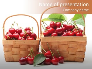 Red Bio Purple PowerPoint Template