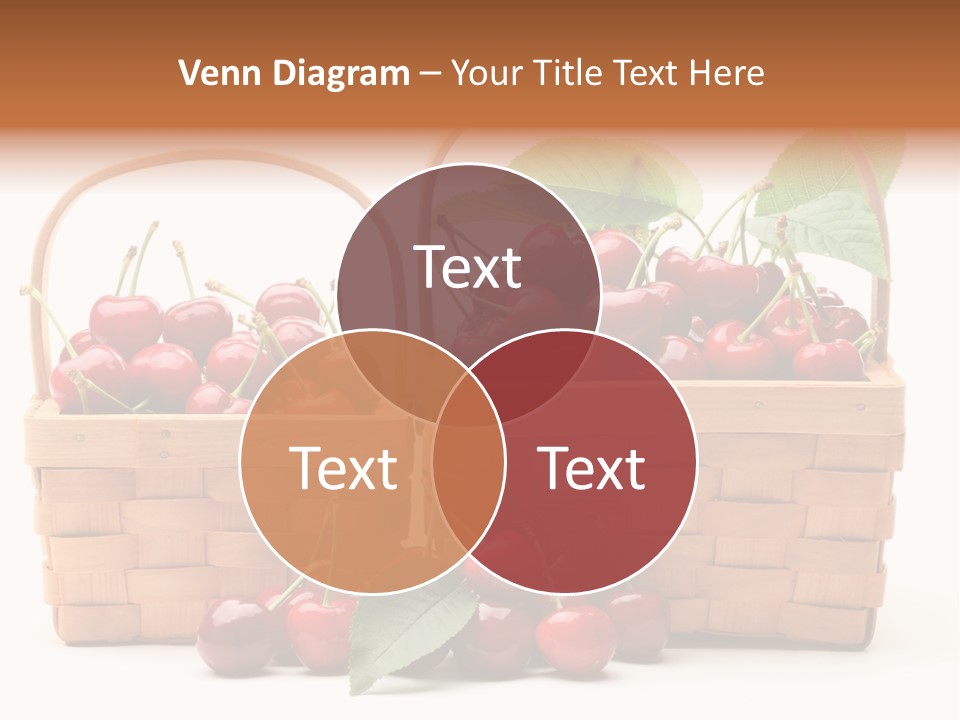 Red Bio Purple PowerPoint Template