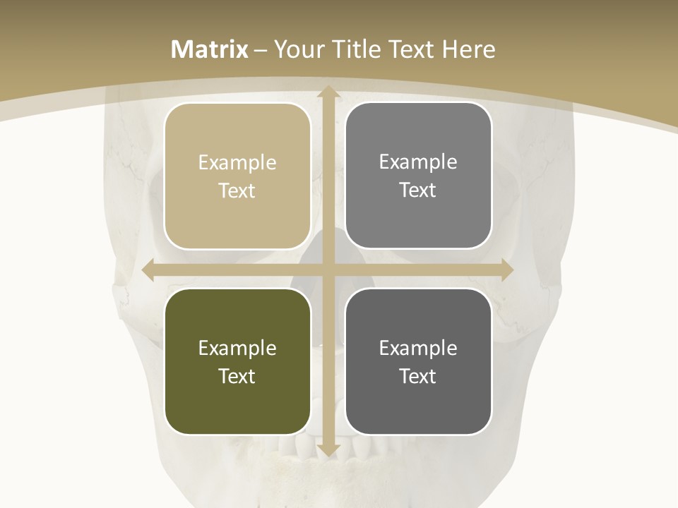Curtain Messy Empty PowerPoint Template