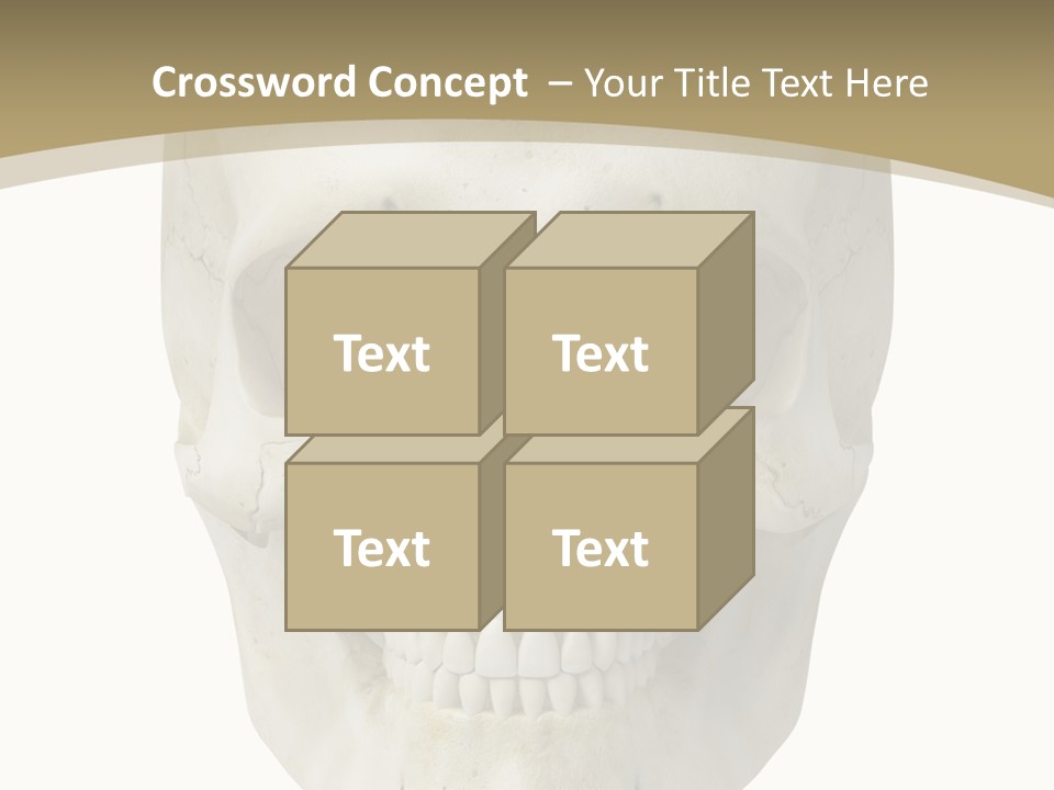 Curtain Messy Empty PowerPoint Template
