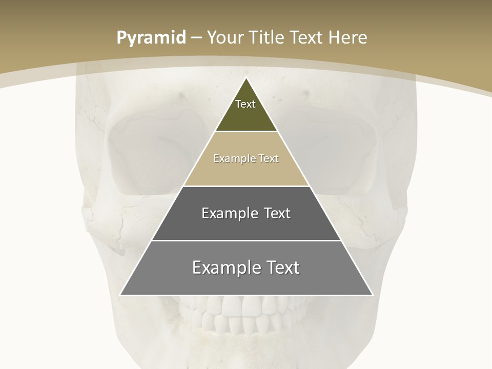 Curtain Messy Empty PowerPoint Template
