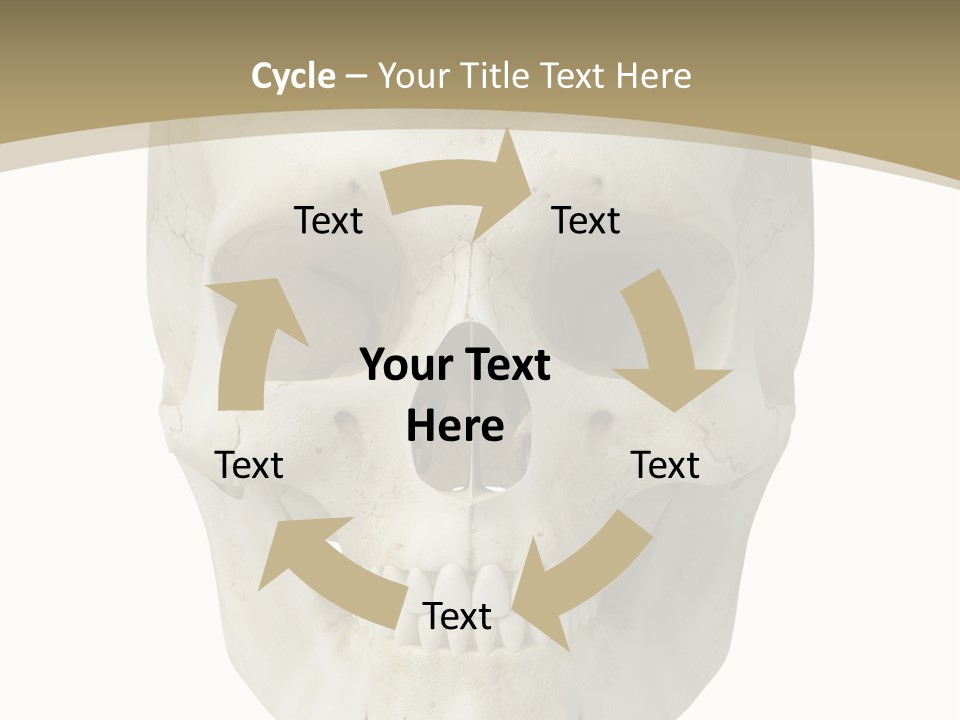 Curtain Messy Empty PowerPoint Template