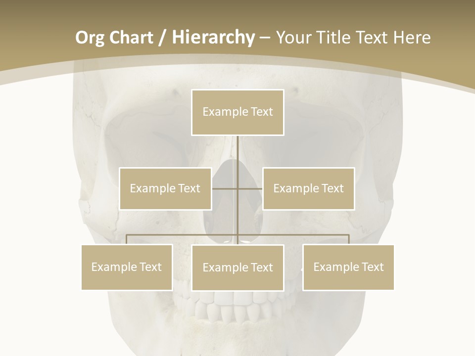 Curtain Messy Empty PowerPoint Template