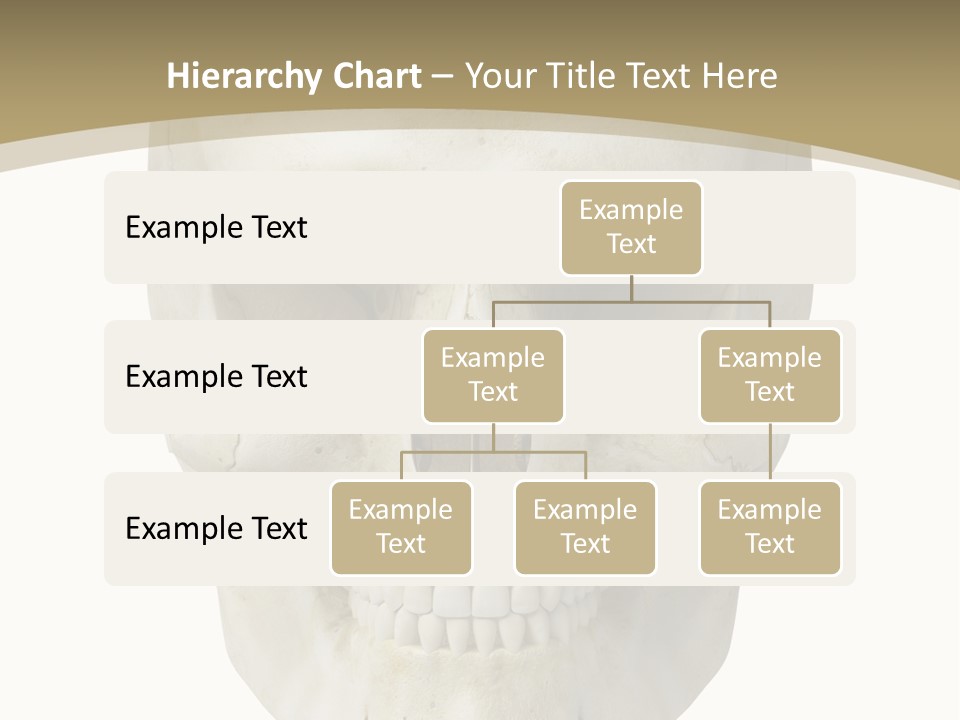 Curtain Messy Empty PowerPoint Template