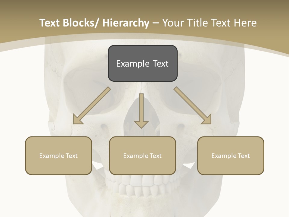 Curtain Messy Empty PowerPoint Template