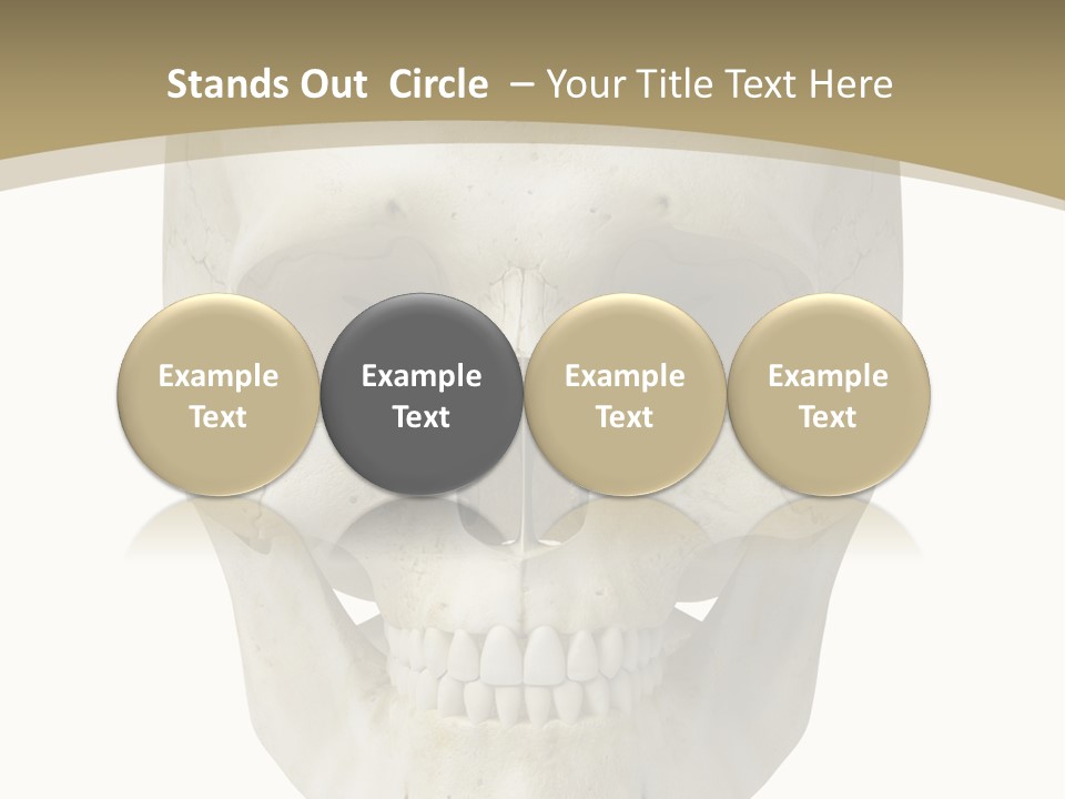 Curtain Messy Empty PowerPoint Template