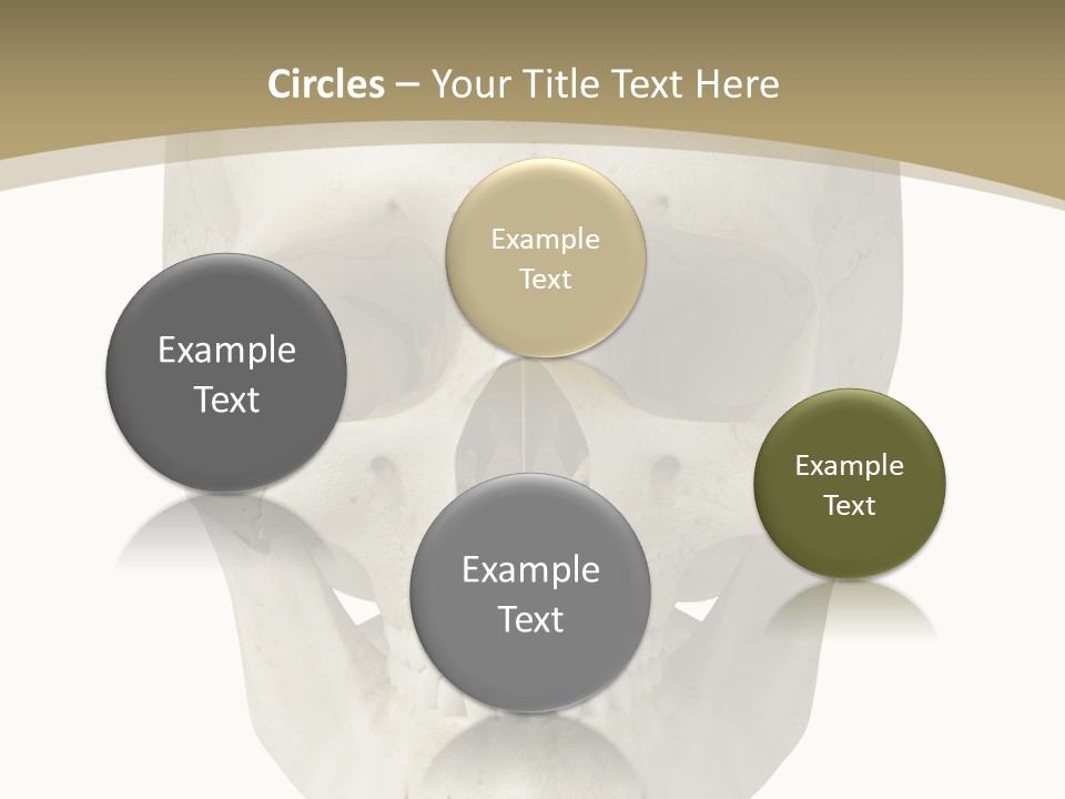 Curtain Messy Empty PowerPoint Template