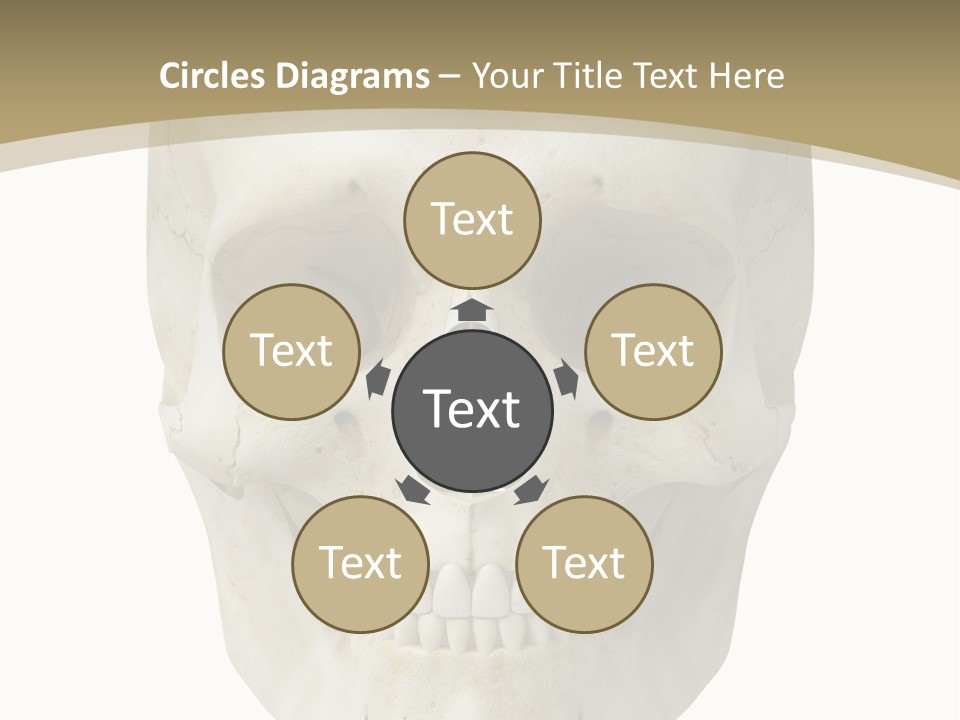 Curtain Messy Empty PowerPoint Template