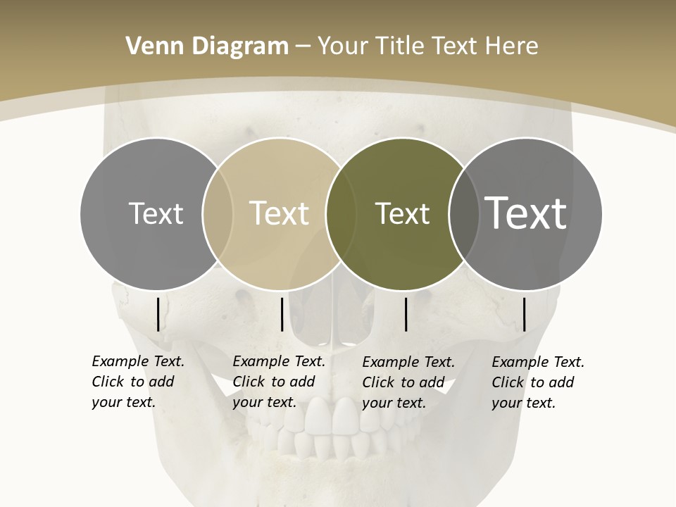 Curtain Messy Empty PowerPoint Template