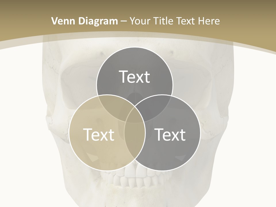 Curtain Messy Empty PowerPoint Template