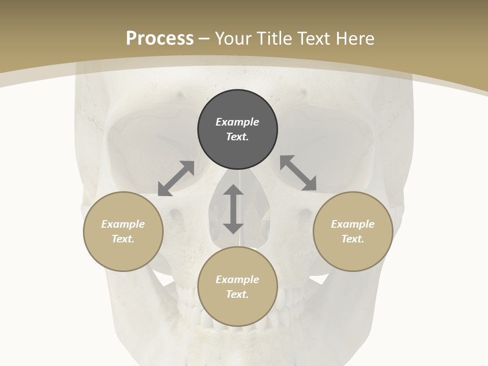 Curtain Messy Empty PowerPoint Template