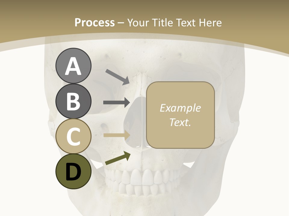Curtain Messy Empty PowerPoint Template