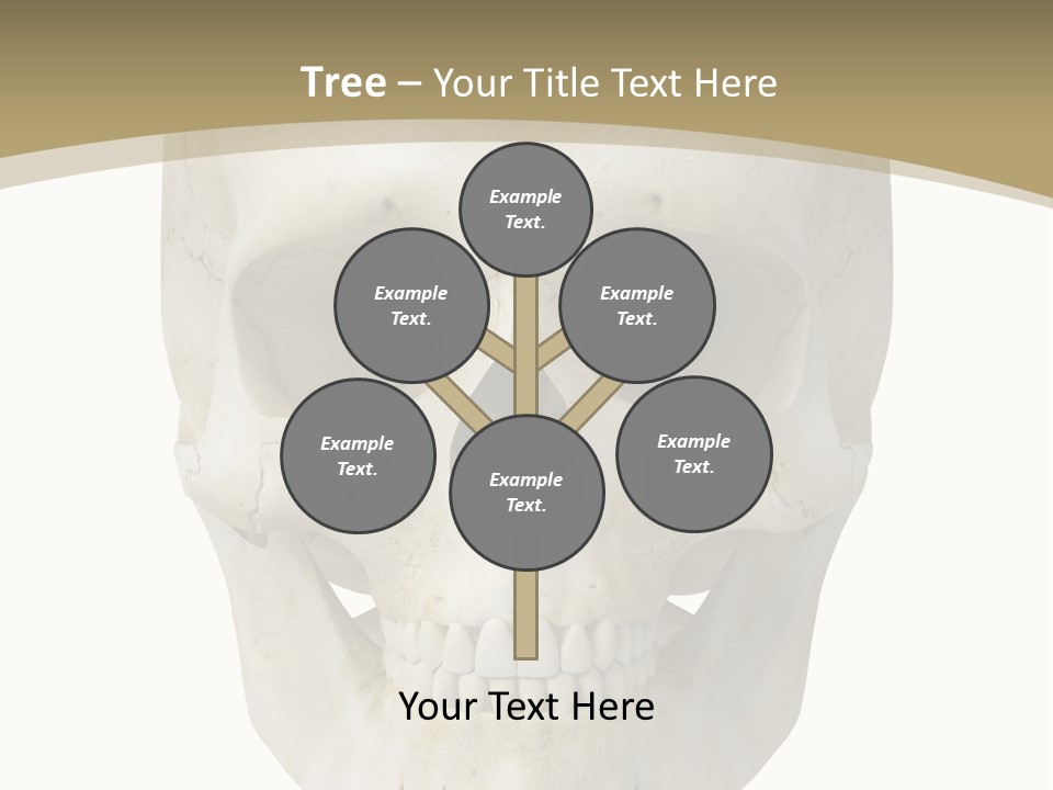 Curtain Messy Empty PowerPoint Template
