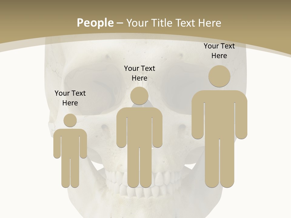 Curtain Messy Empty PowerPoint Template