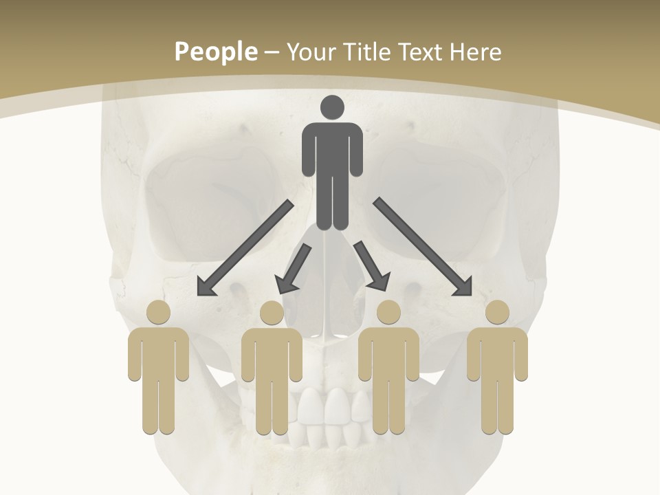 Curtain Messy Empty PowerPoint Template