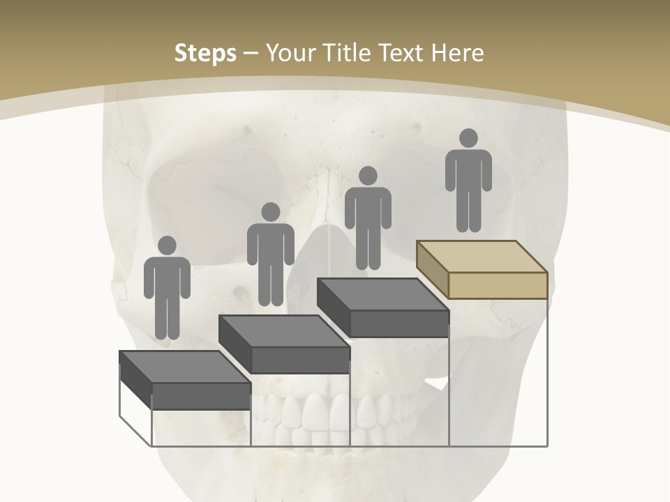 Curtain Messy Empty PowerPoint Template