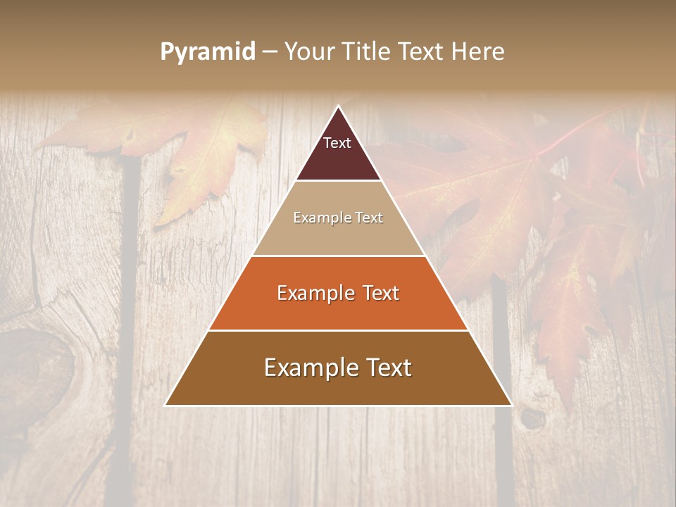 Space Maple Ragged PowerPoint Template