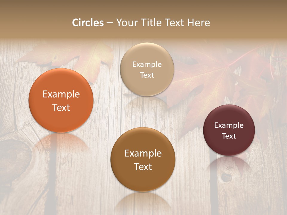 Space Maple Ragged PowerPoint Template