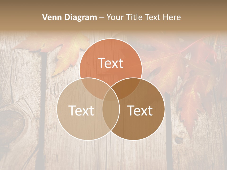 Space Maple Ragged PowerPoint Template