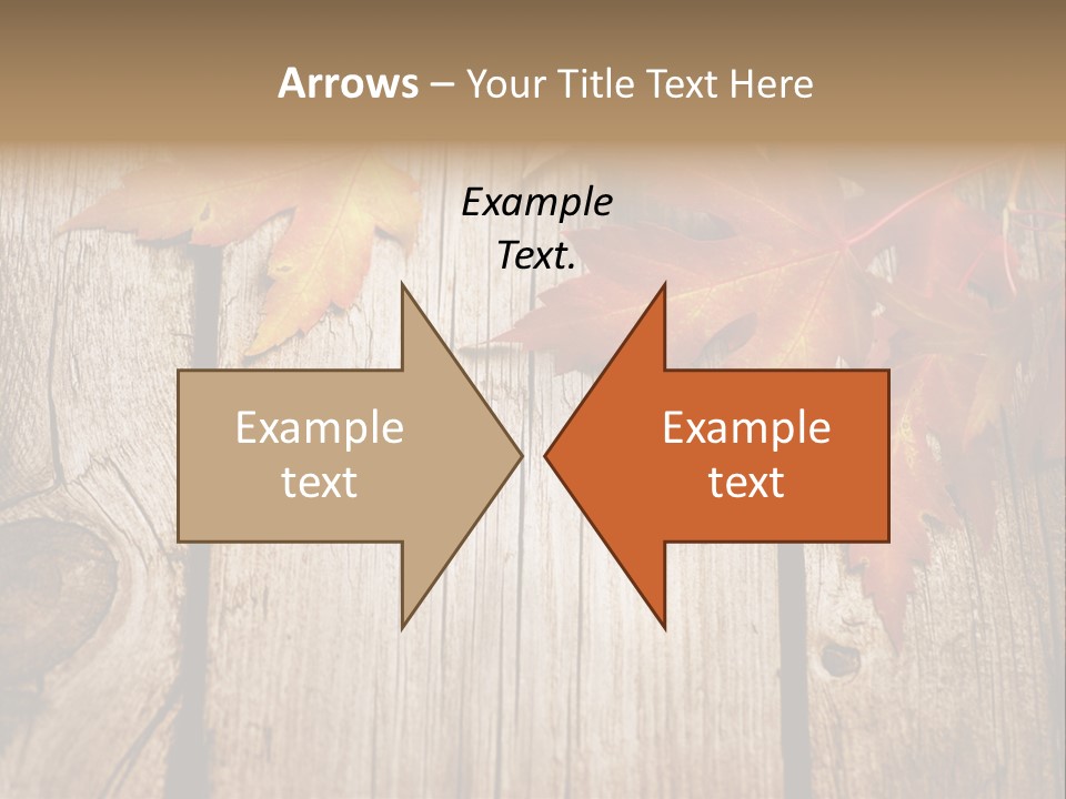 Space Maple Ragged PowerPoint Template