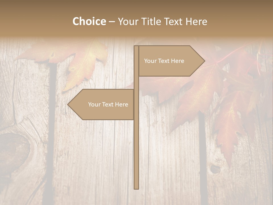 Space Maple Ragged PowerPoint Template