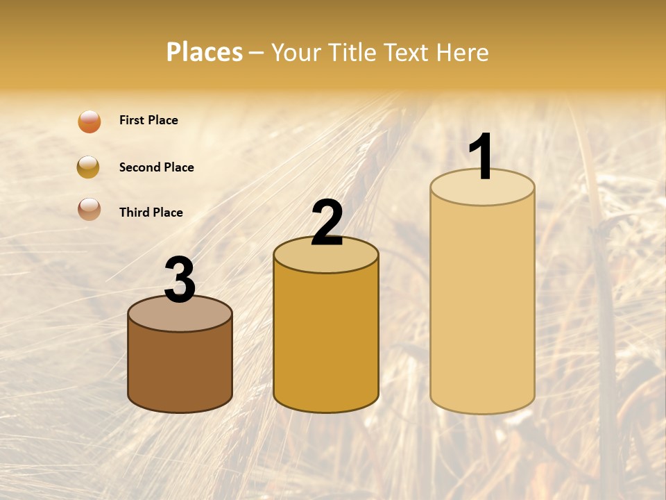 Food Summer Cornfield PowerPoint Template