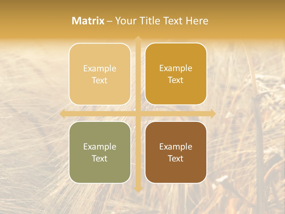 Food Summer Cornfield PowerPoint Template