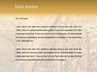 Food Summer Cornfield PowerPoint Template