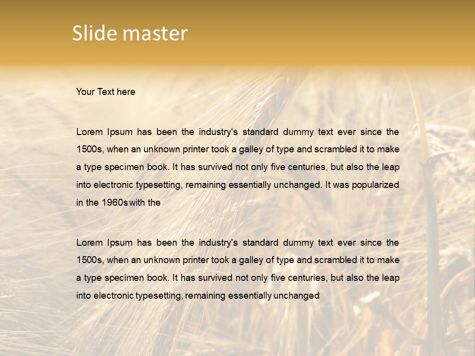 Food Summer Cornfield PowerPoint Template