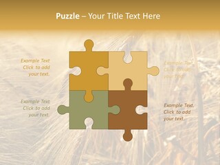 Food Summer Cornfield PowerPoint Template