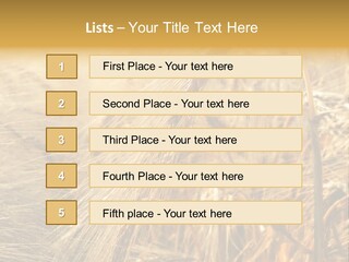 Food Summer Cornfield PowerPoint Template