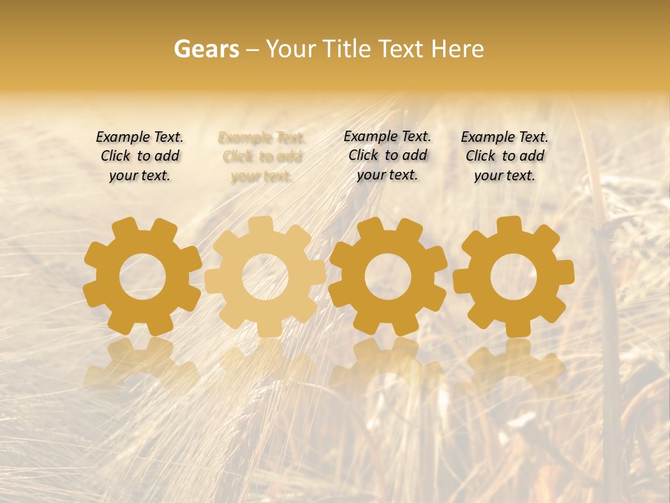 Food Summer Cornfield PowerPoint Template