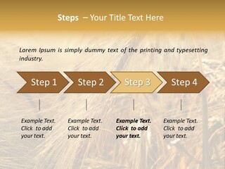 Food Summer Cornfield PowerPoint Template
