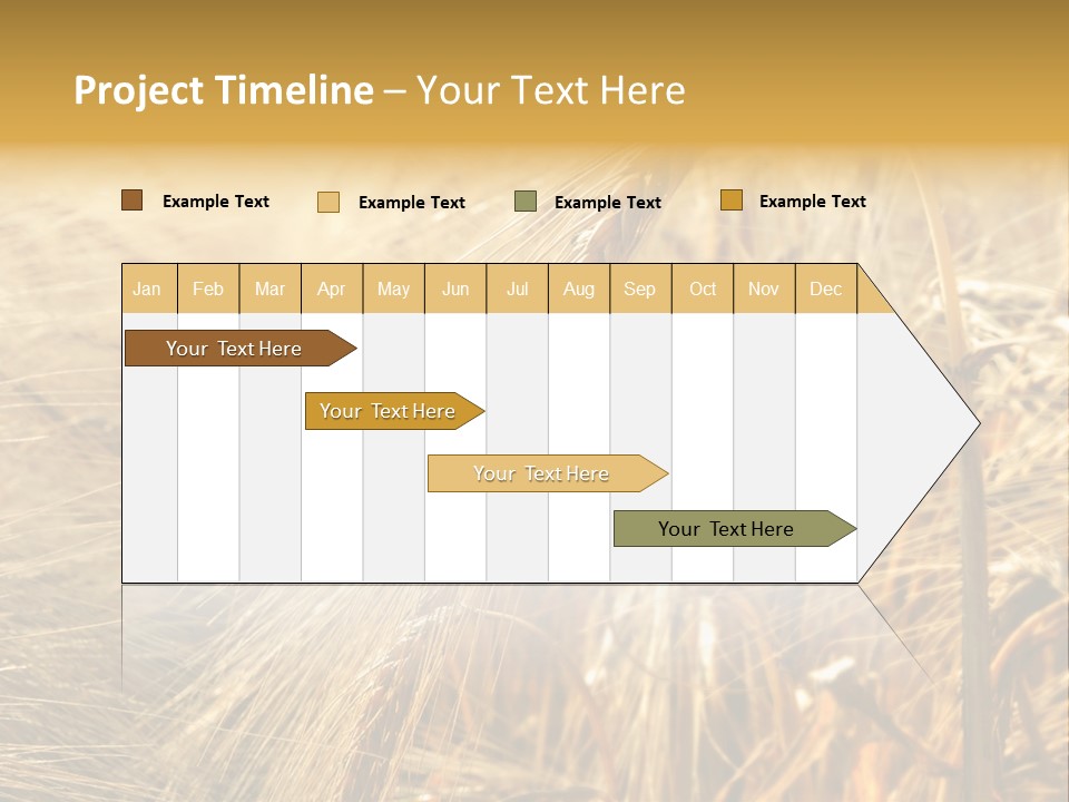 Food Summer Cornfield PowerPoint Template