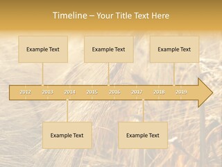 Food Summer Cornfield PowerPoint Template