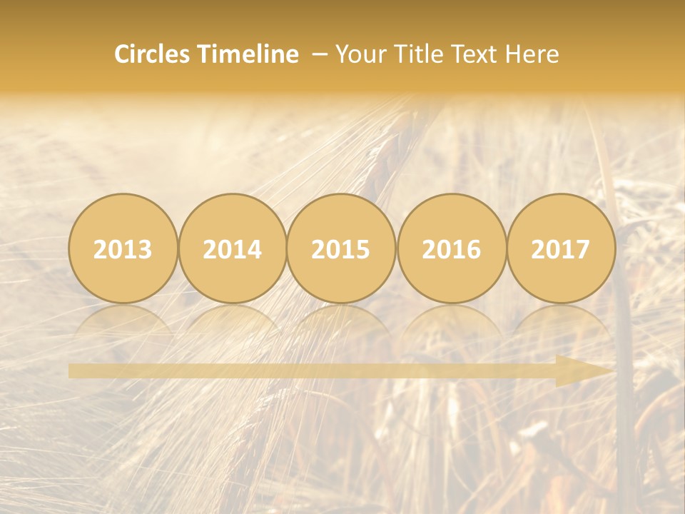 Food Summer Cornfield PowerPoint Template