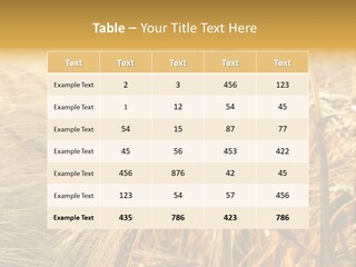 Food Summer Cornfield PowerPoint Template