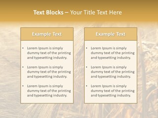 Food Summer Cornfield PowerPoint Template