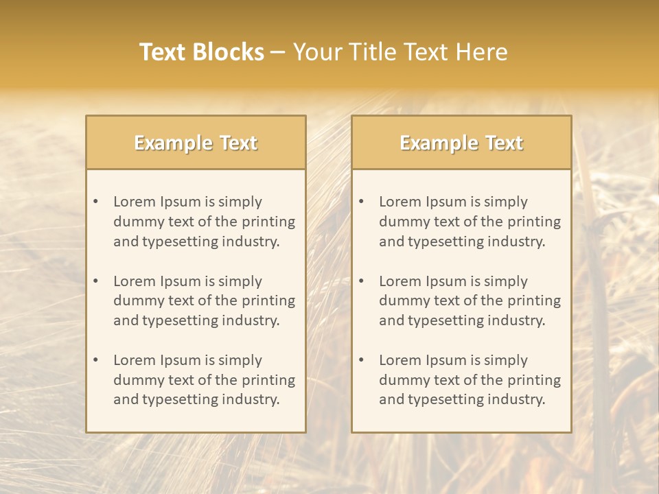 Food Summer Cornfield PowerPoint Template