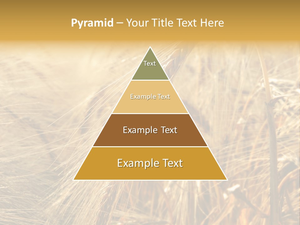 Food Summer Cornfield PowerPoint Template