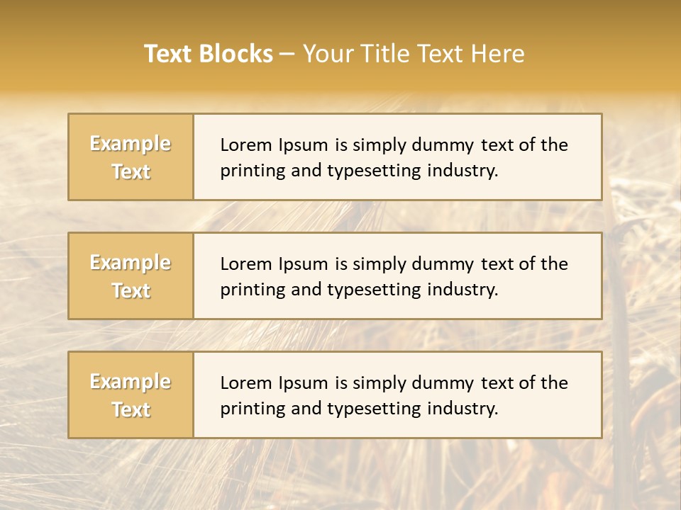 Food Summer Cornfield PowerPoint Template