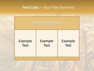 Food Summer Cornfield PowerPoint Template