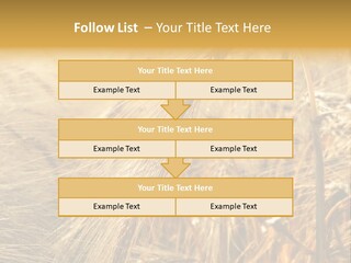 Food Summer Cornfield PowerPoint Template