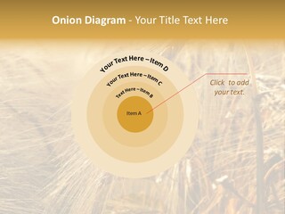 Food Summer Cornfield PowerPoint Template