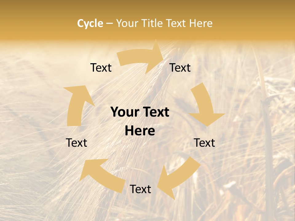 Food Summer Cornfield PowerPoint Template