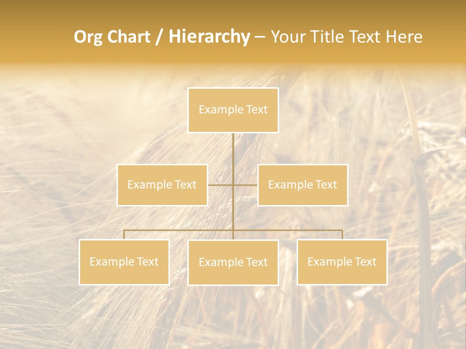 Food Summer Cornfield PowerPoint Template